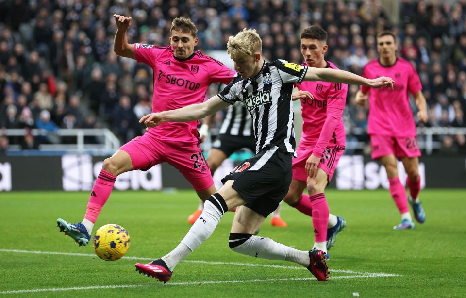 爱游戏登录-关于富勒姆主场告负，不敌西汉姆联的进攻的信息