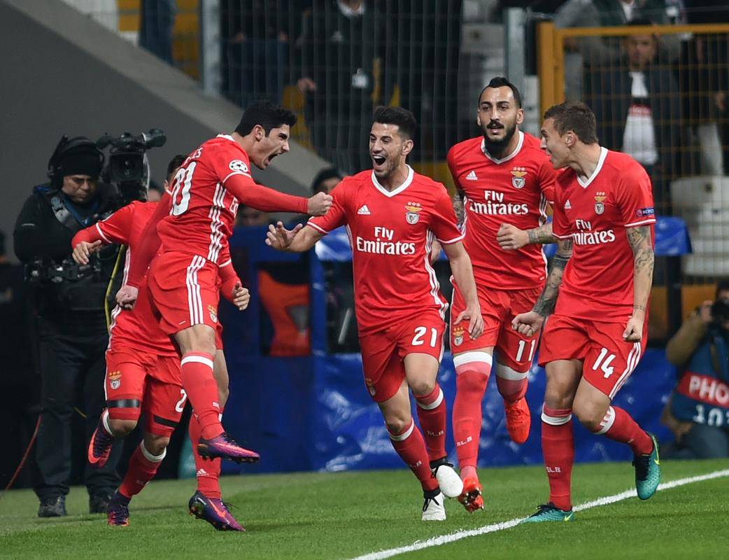 拜仁慕尼黑横扫对手，德国劲旅逐梦顶级赛事